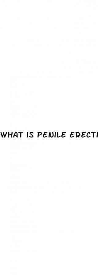 what is penile erectile dysfunction
