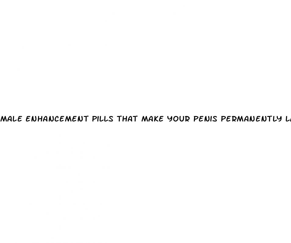 male enhancement pills that make your penis permanently larger