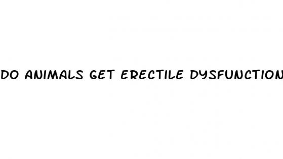 do animals get erectile dysfunction