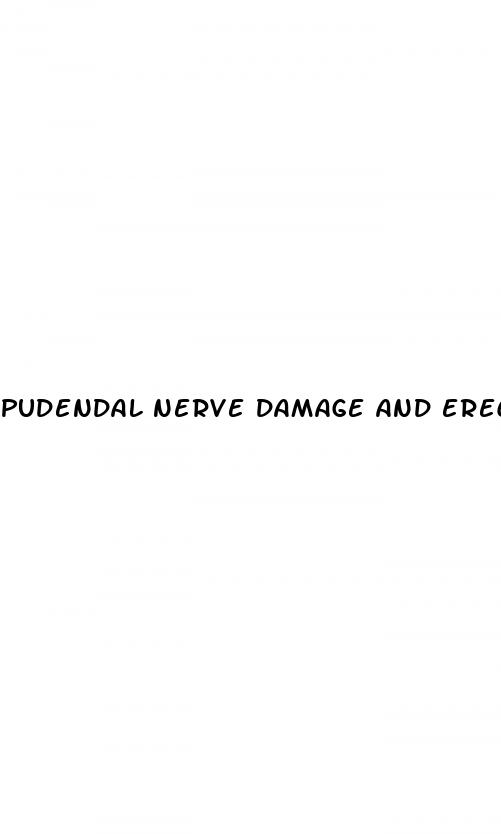 pudendal nerve damage and erectile dysfunction