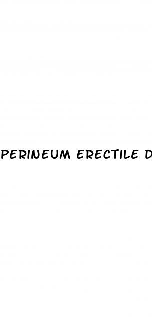 perineum erectile dysfunction