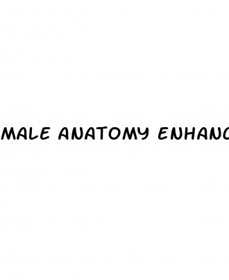 male anatomy enhancements