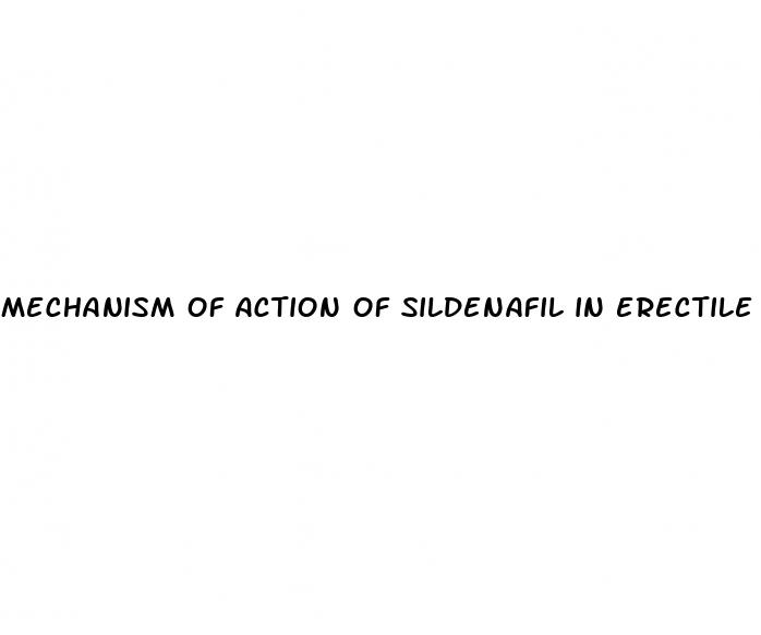 mechanism of action of sildenafil in erectile dysfunction
