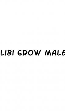 libi grow male sexual enhancer pills