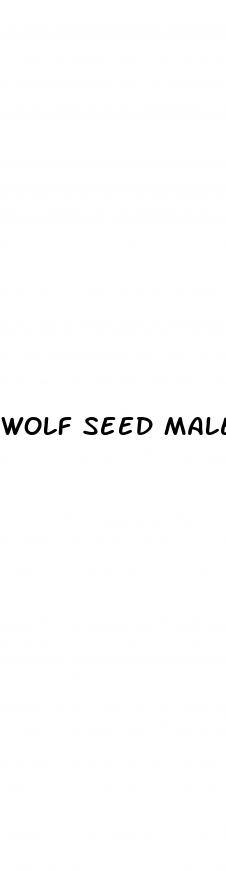 wolf seed male enhancement