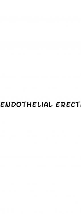 endothelial erectile dysfunction