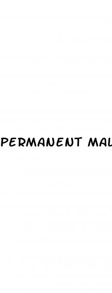 permanent male enhancement