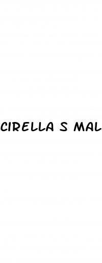 cirella s male enhancement pills