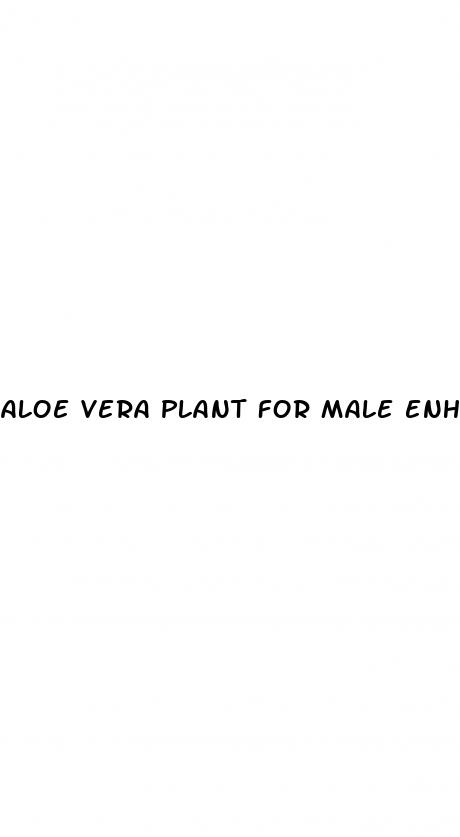 aloe vera plant for male enhancement
