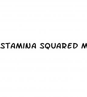stamina squared male enhancement