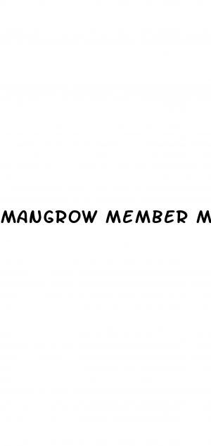 mangrow member male enhancement pills