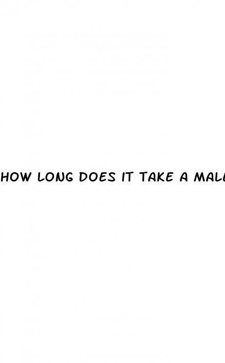 how long does it take a male enhancement pill work