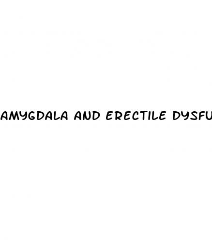 amygdala and erectile dysfunction