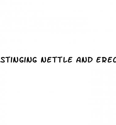 stinging nettle and erectile dysfunction
