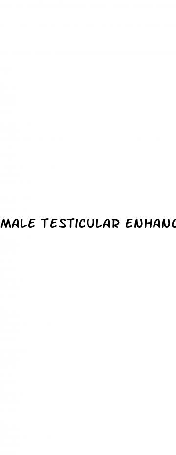 male testicular enhancement
