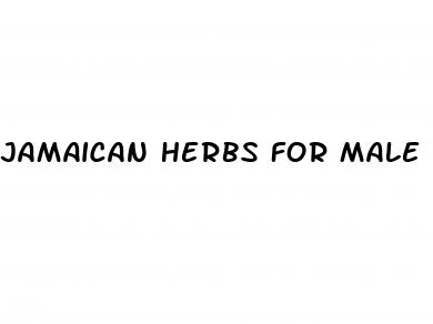 jamaican herbs for male enhancement