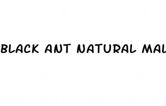 black ant natural male enhancement