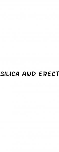 silica and erectile dysfunction
