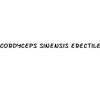 cordyceps sinensis erectile dysfunction