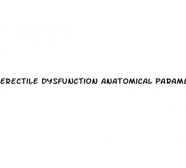 erectile dysfunction anatomical parameters etiology diagnosis and therapy