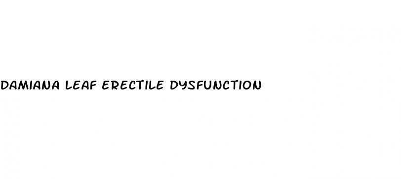 damiana leaf erectile dysfunction