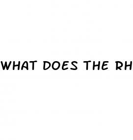 what does the rhino 7 pill do