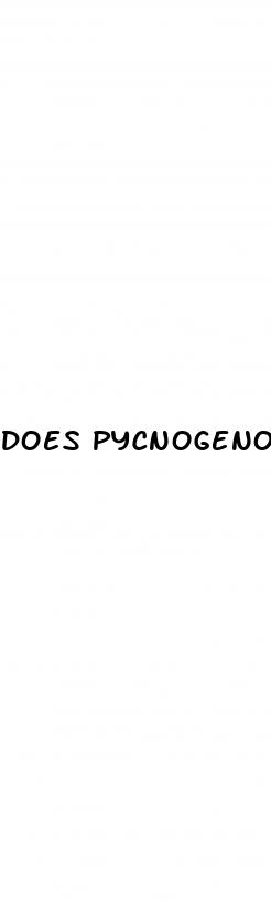 does pycnogenol help erectile dysfunction