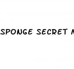 sponge secret male enhancement