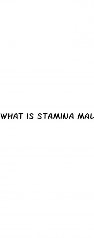 what is stamina male enhancement