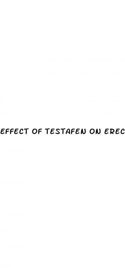 effect of testafen on erectile dysfunction