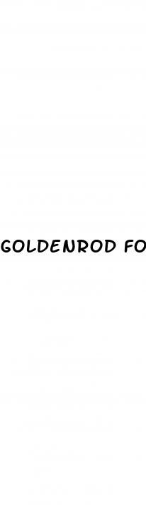 goldenrod for erectile dysfunction