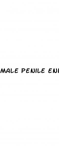 male penile enhancement surgery pictures