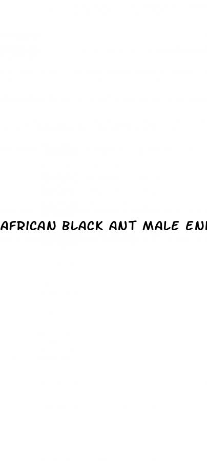 african black ant male enhancement reviews