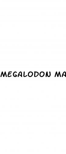 megalodon male enhancement