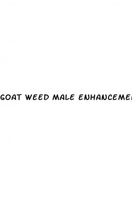 goat weed male enhancement