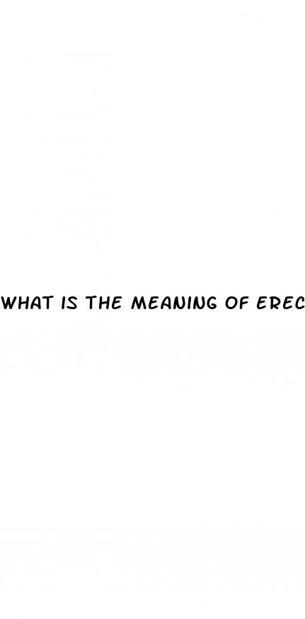 what is the meaning of erectile dysfunction
