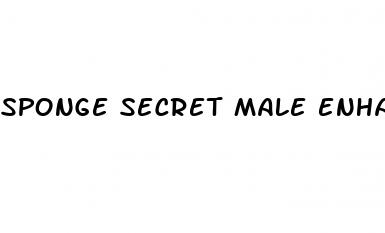 sponge secret male enhancement reddit