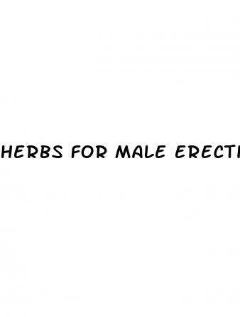herbs for male erectile dysfunction