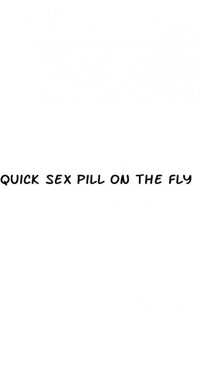 quick sex pill on the fly