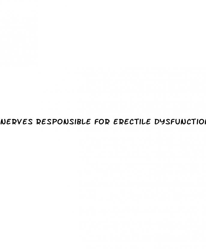 nerves responsible for erectile dysfunction