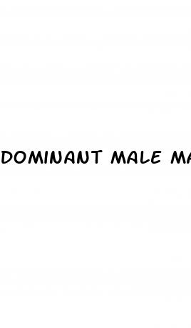 dominant male male enhancement