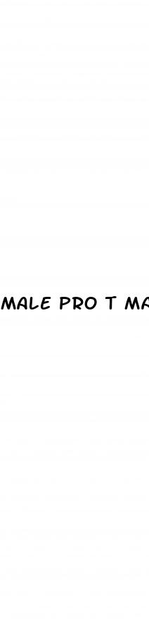 male pro t male enhancement