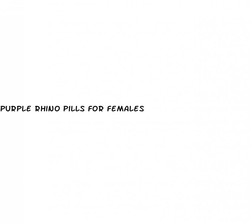 purple rhino pills for females