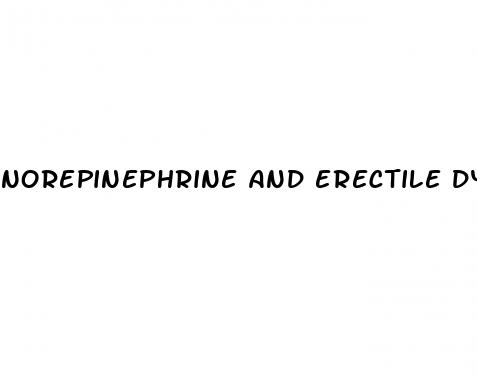 norepinephrine and erectile dysfunction