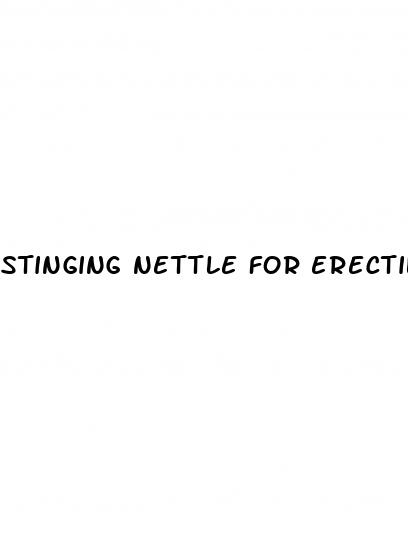 stinging nettle for erectile dysfunction