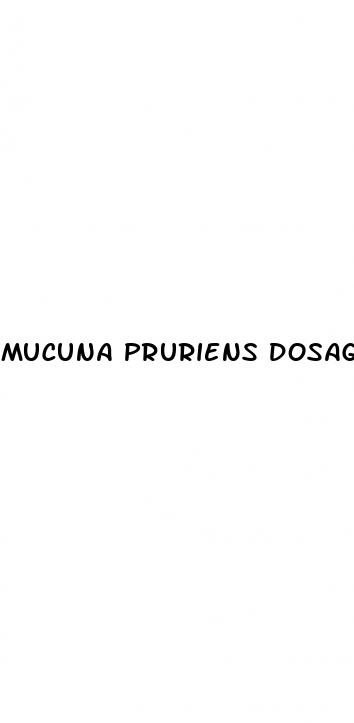 mucuna pruriens dosage for erectile dysfunction