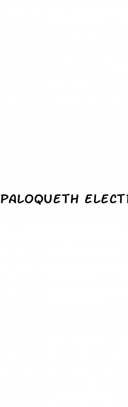 paloqueth electronic male enhancement penis pump tubes