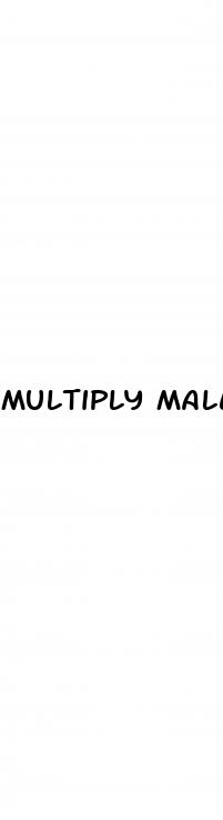 multiply male enhancement support