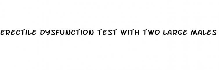 erectile dysfunction test with two large males
