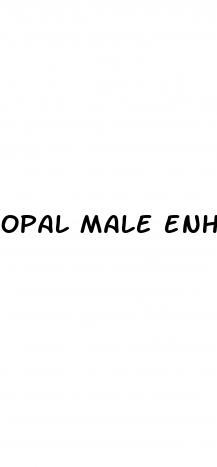 opal male enhancement pills